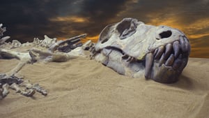 Dinosaur-in-sand.jpg